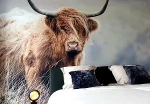 Riversight - Enghien