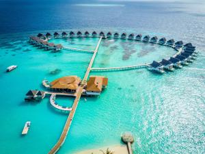 The Centara Collection, Machchafushi Island Resort & Spa Maldives - Stay 4 nights or more, enjoy 25 percent off Seaplane transfers, valid for stays from 10 Apr to Sep 2026