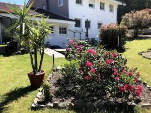 Ferienwohnung Braun - Hinterweidenthal