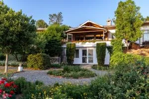 Tree of Life Junoon in the Hills Kumaon - Ranikhet
