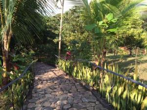 3 Architectural Homes, Wi-fi and Pool