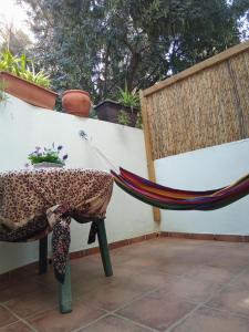 Fabulosa Casa del Árbol