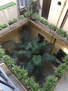 Navona Nest by Valentinas Dream