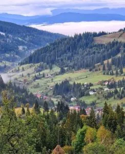 Pensiunea Casa Fierarul din Bucovina - Ciumîrna