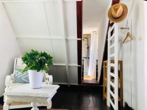 Captivating Studio Apartment in Mexilhoeira Grande