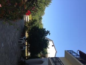 Alekos Rooms and Apartments Samos Greece