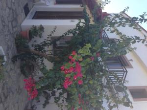 Alekos Rooms and Apartments Samos Greece