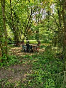 Maisons de vacances Le Calme a la source : photos des chambres