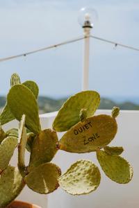 Paradise Relais Villa Janto