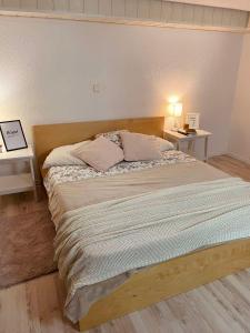Apartma pri Olgi