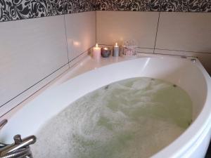 B10 Dom LUX z Alpakami & Basen SPA