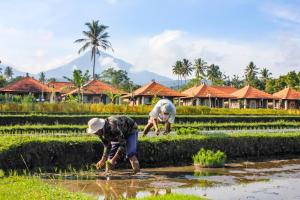 Sri Lestari Banyuatis