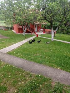 Lazarev konak apartman kucica