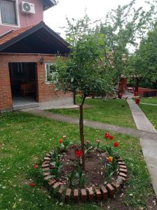 Lazarev konak apartman kucica