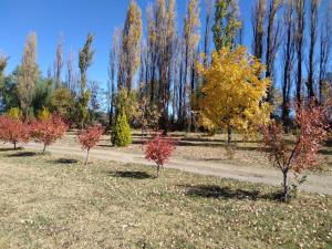 cabaña alojamiento Canto de las Aves