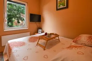 Apartman Ristivojevic Zlatibor - Čajetina