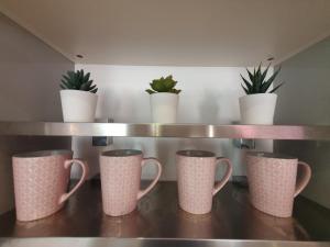 Super Penthouse Apartment in the City Centre