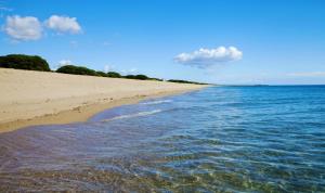 Cuccuru Relax - B IUN Q9882 img7