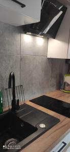 Domki Bieszczadzki Czar Rodzinny 661-850-410