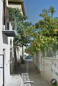 La casetta in centro storico: Pantelleria 9