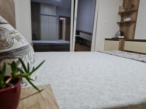 Bojana Apartment Penthouse