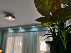 Ambient studio Komotini