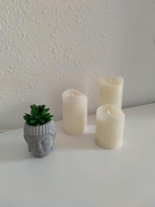 Blue Butterflies Studio