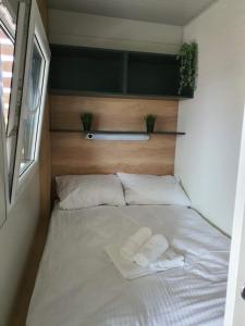 Tavio mobile house Kolpa, BIG BERRY, Metlika