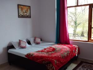 Samaira home stay