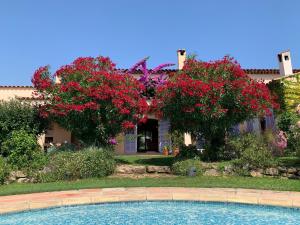 Maisons de vacances Beautiful Villa next to Valbonne with Garden and Terrace : photos des chambres