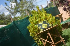 Pacha Waterfront Nithi