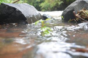 Pacha Waterfront Nithi