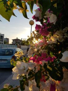 La Zenia Holiday Home