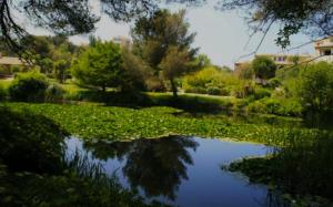T2 au calme, entre mer et pinède.