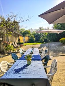 Maisons de vacances La Maison du Bonheur maison de campagne 17 personnes avec jacuzzi : photos des chambres