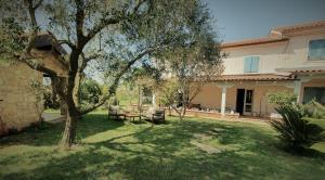 House Nono Bepo in small Istrian village 