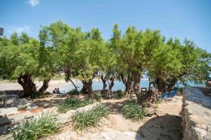 Mylos Seaside Experience