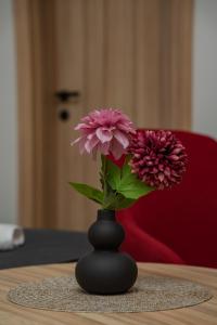 Maestro - Rooms & Restaurant