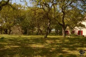 Par Tòt - Cuccolicchio