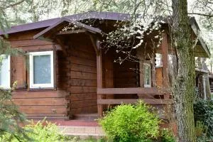 Sosnowy Domek - Osłowo