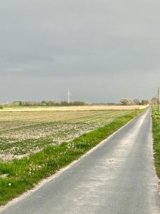 Meeresbrise 2