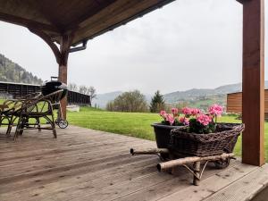 Domek na Berechu Domek w GórachPieniny