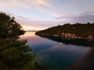 Cosy Apartment sea view Long Island Croatia