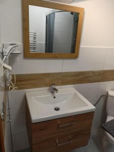 Willa na górskim szlaku