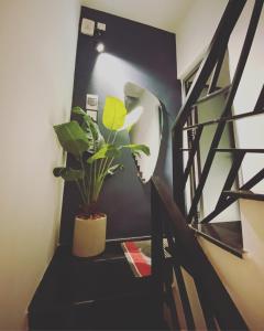 LILY HOUSE( Mini home 2PN)