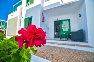 Precioso apartamento con piscina