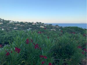 Villas Villa Provencale avec vue mer panoramique : photos des chambres