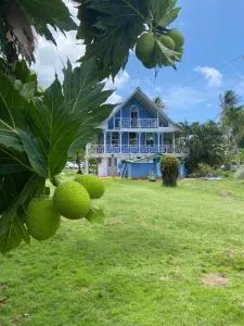 Islander House on Rocky Cay Beach - The Tamarind Tree