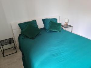 Appartements LE COCON D AURORE : photos des chambres