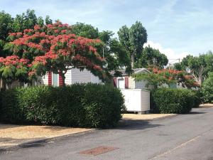 Campings MOBIL HOME LE BIENVENUE 3 CH VALRAS PLAGE : photos des chambres